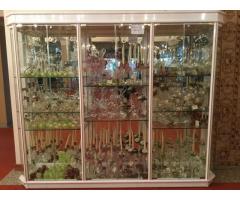 Vitrina em alumínio lacado a branco, com detalhes em madeira